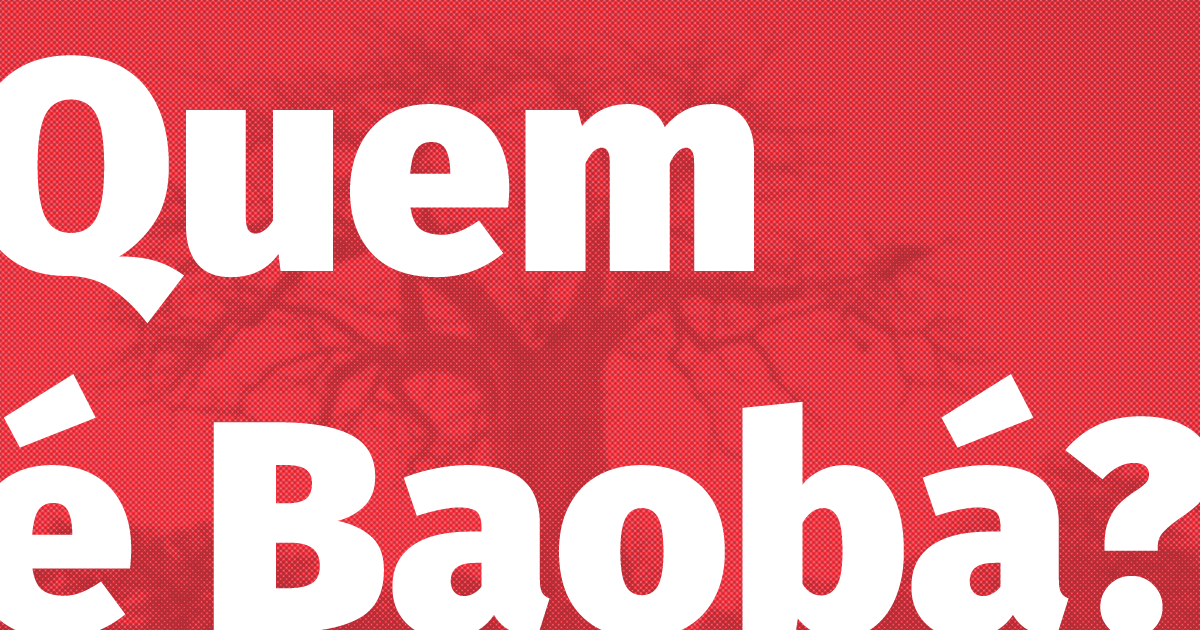 <strong>Conheça o Instituto Baobá: Nossas raízes, sementes e frutos.</strong>